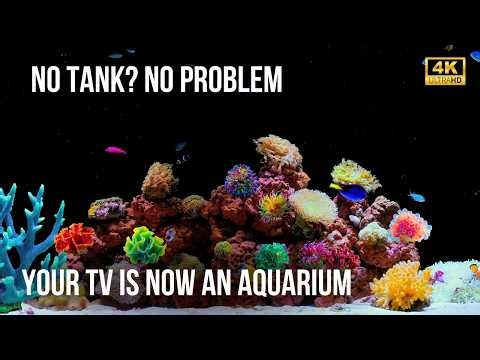 🐠 Don't Click This 4K Aquarium Video (12 Hours)… Unless You Crave Ultimate Calm & Soothing Water S..
