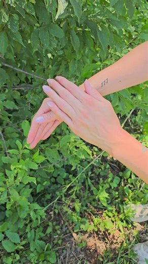 Tallow Balm does what your fancy cream can’t. Our Encompass Tallow Balm blends ancient healing with modern simplicity. ✔️ Grass-fed beef tallow ✔️ Encompass Oil’s powerful herbal formula ✔️ No chemicals, no fillers just nature It melts into dry skin, soothes inflammation, and supports real healing. 🌿 Loved by thousands. Backed by nature. 🛒 Grab yours before we sell out again → | Encompass Farming