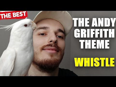 The Andy Griffith Theme Whistle For Cockatiels