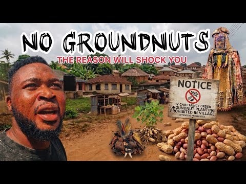 The Nigerian Town Where Planting Groundnuts Is Forbidden… Ancient Juju & Alugba Secrets 😳