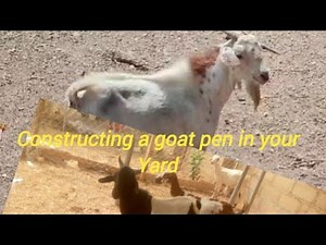 How to Construct a goat pen in your home yard ‪@rabbitpalace‬