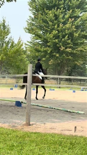 Dressage test from my last show intro b