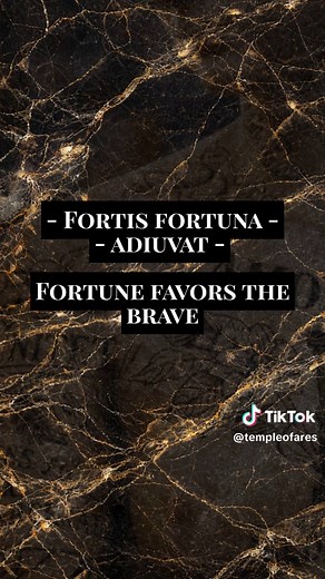10 Stoic Latin Phrase Tattoo Ideas with Translations