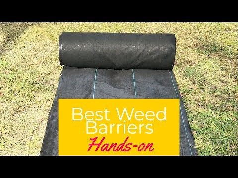 Best Weed Barrier in 2023 - How to Choose the Best Weed Barrier for your Plants?