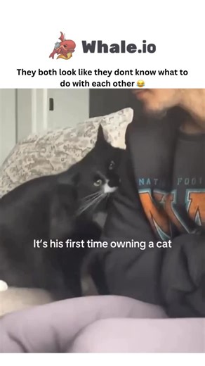 Sxrface ☠️ on Instagram: "- This viral video depicts a young man’s tentative first interactions with his new black-and-white cat on a couch, both appearing equally puzzled, as overlaid text repeatedly notes “It’s his first time owning a cat.” - The post’s caption humorously nails the awkward mutual uncertainty, driving 58,000+ likes and sparking replies sharing relatable cat-bonding mishaps, like one likening it to lyrics “hitting them hard.” - From @catsareblessing, a cat-centric account emphas