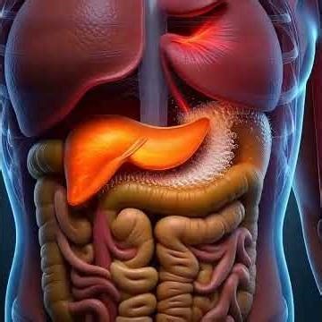 Inside the Human Body-Science inMotion#humanbody#anatomy#3danimation#sciencetokaiart#digestivesystem