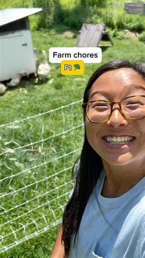 Hey I’m Jessica and 6 years ago I quit my fulltime accounting job to start a farm in my backyard. This is what my days look like now. I’ll never go back 📈📊🗄️ #backyardfarm #gardening #homestead #farmchores #farmanimals #growyourownfood | Thunderbluff Farm