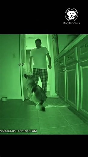 Unseen Guardian: German Shepherd's Night Vision Vigilance Prevents House Disaster | CCTV #shorts