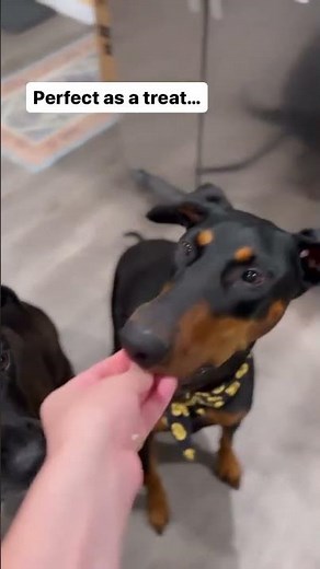 Dinner Time With Tuckers Freeze-Dried