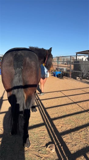 I start with walking with the bottle with rhythm. | Scout's Trail