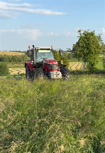 ☀️🌱 Silage 2025 🌱☀️ #silage2025 #masseyferguson #farmlife @TomasMcCusk