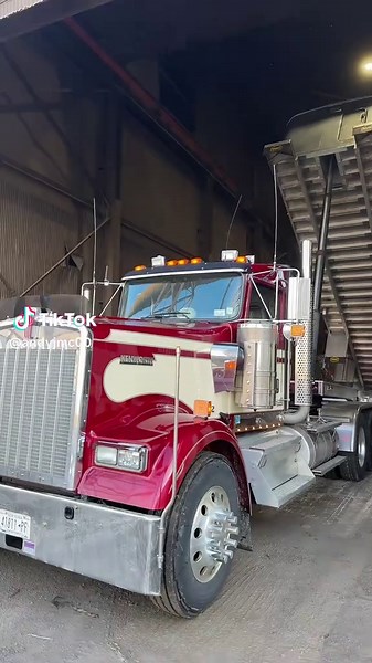 Big iron | big iron ant