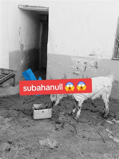 استغفار وتأملات روحية ملهمة