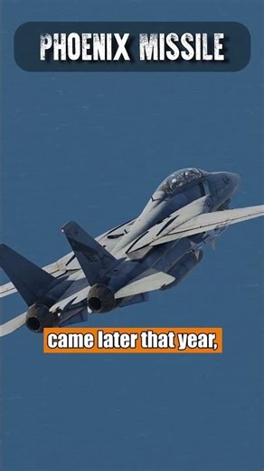 History of the AIM-54 Phoenix Missile F-14 Tomcat #documentary #history #aviation #dcsworld