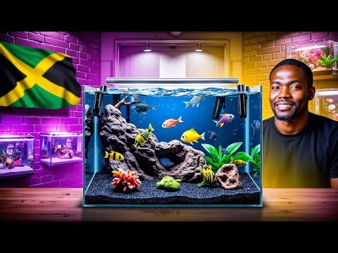 FRESH WATER AQUARIUM AND SALTWATER AQUARIUM || STOCKING 80 GALLON AQUARIUM, MBUNA CICHLIDS