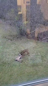 979K views · 7K reactions | Well, that's impressive! Some of you...