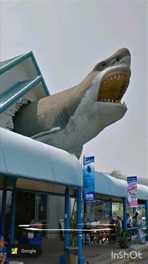 wierd location in Google Earth | Giant Sharks found on Google Earth #shark #googlemaps #googleearth
