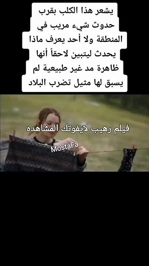 Outdoor Adventures with a Dog and Striped Sweater