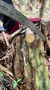 ✅🇺🇸Survival skills: “Just Using This… and Everything Changes!”#survival #outdoors