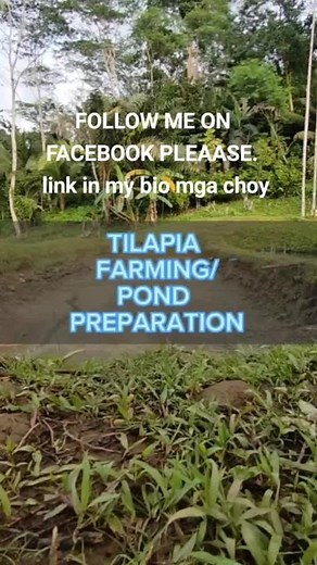Choy nga Farmboy on TikTok