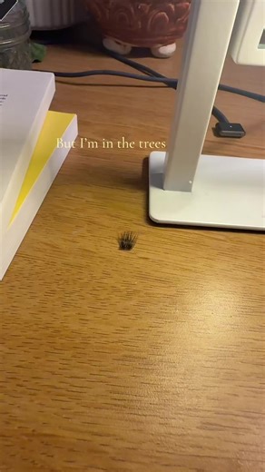 I have a problem #lashes #fyp #viral #problems #foryoupage | lashes