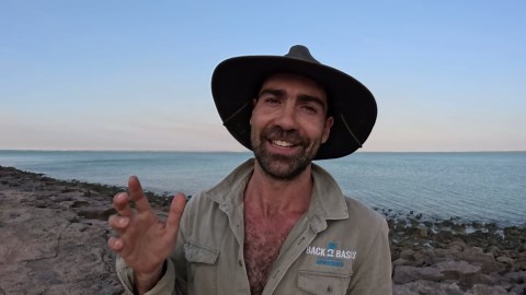 SPIDER CRABS & GIANT SALMON Catch, Clean & Cook