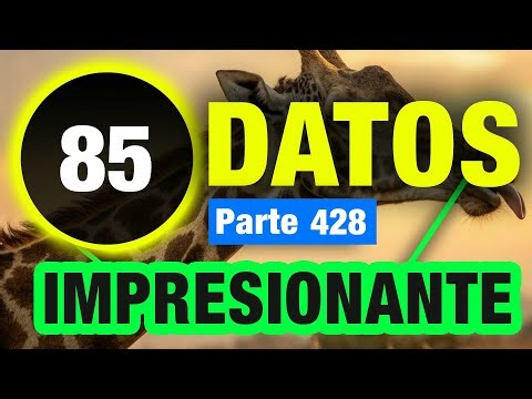 85 Datos Que No Olvidarás