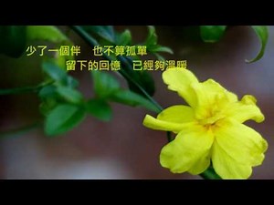 音樂磁場(風) -離開憂鬱的習慣 # - Flowers , Taiwan