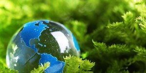 The 4 Environmental Costs of Meat and Why Plant-Based Diets Are More Sustainable