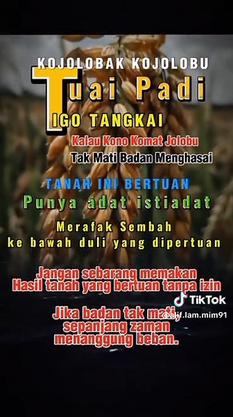 Alif Lam MIM (@alif.lam.mim91)’s videos with original sound - Alif Lam MIM