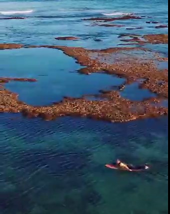 13K views · 749 reactions | The surf's always up at Surfers Point in...