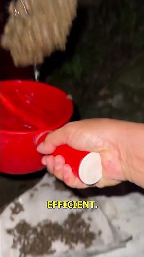 Discover the Art of Beekeeping.