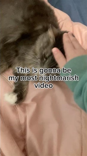 Day 4 of cleaning my disgusting atrocious room - part 1 #asmr #slime #banku #marriageproposals #vent