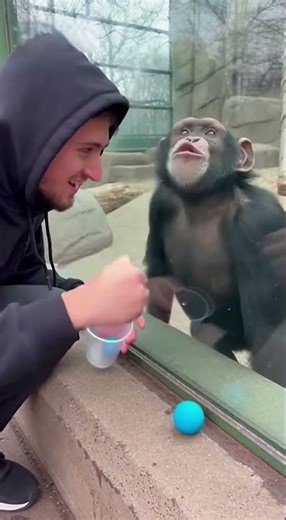 He actually did a BACKFLIP laughing! 😂🐒 #shorts #WildLaughAI