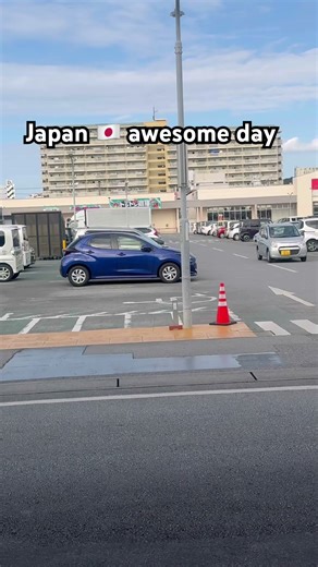 Japan 🇯🇵#japan #automobile #okinawa #travel #vlog