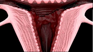 Sumérgete en el intrigante mundo de la menstruación con nuestro nuevo video. Descubre los secretos detrás de cómo se produce este proceso natural en el cuerpo femenino. Desde los cambios hormonales hasta la preparación del útero, te llevaremos a través de los pasos clave que dan forma al ciclo menstrual. Acompáñanos en este viaje educativo mientras desentrañamos los misterios y las maravillas de la menstruación, ofreciendo una comprensión más profunda de este fenómeno esencial en la vida de las 