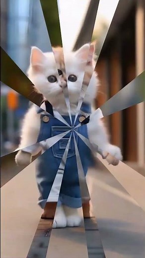 How Cats Walk: Understanding Cat Behavior | Fascinating Facts About Cat Walking | Cat Lovers