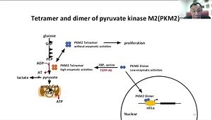 Pyruvate Kinase M2 (PKM2) Regulation of Glomerular Glycolysis and Mitochondrial Metabolism and Diabetic Nephropathy