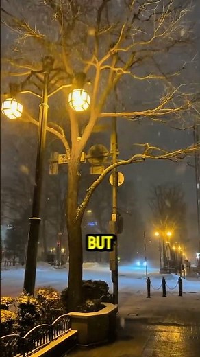 How Snow Forms And Falls From The Sky