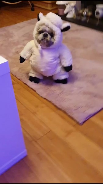 Trish Wood (@trishwood1)’s videos with Savage - Megan Thee Stallion