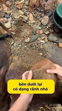 Tập 118: Đào vàng ở vị trí mới #gold #daovang #viral #viralvideo #viralshorts
