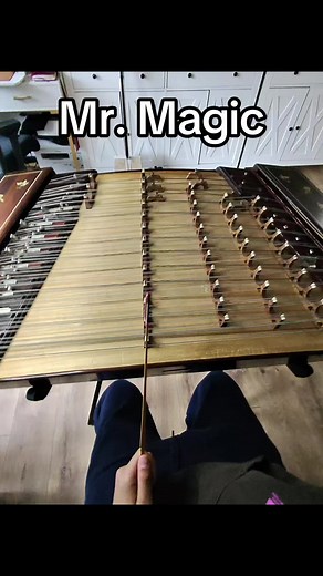 Mr. Magic Dulcimer Cover - Viral Music Performance