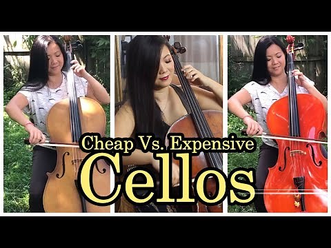 Can You Hear the Difference Between Cheap and Expensive Cellos? | Bach Cello Suite No. 1