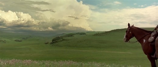 🔥🤠 OPEN RANGE (2003) — JUSTICIA AL AMANECER 🔥 En un Oeste donde la ley se ha perdido entre el polvo y la violencia 🌾, Charley Waite (Kevin Costner) y Boss Spearman (Robert Duvall) viven libres, guiando su ganado por la llanura abierta. Pero cuando la corrupción y la brutalidad los alcanzan, la calma se rompe… y la justicia llega con olor a pólvora 💣🔫. 💥 “A veces los hombres buenos deben hacer cosas malas… para mantener el mal lejos.” 🎬 Dirigida y protagonizada por Kevin Costner, Open Ran