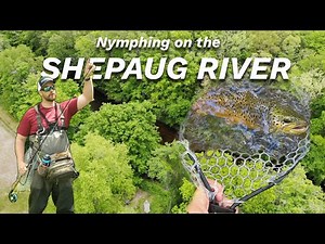 Nymphing the Shepaug River for Big Trout | Top Indicator Nymphing Tips!