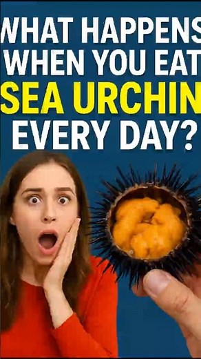 What Happens When You Eat SEA URCHIN Every Day?