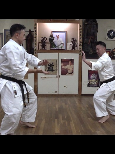 Gojyu-ryu Karate Techniques by Akihito Yagi