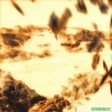 The Expendables on Reels