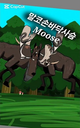 동물 대 도감, 25화 큰 괸을 쓴 숲의 제왕 말코손바닥사슴, Moose (강동현tv)