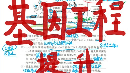 和高二UP一起刷基因工程难题~带你冲刺基因工程~【高中生物】